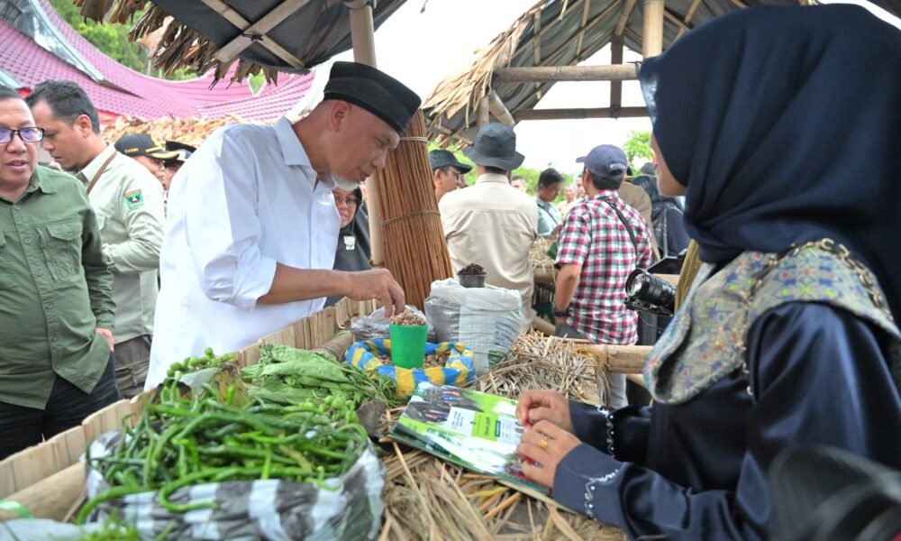 Gubernur Mahyeldi Instruksikan Sejumlah Opd Dukung Program Perhutanan Sosial Di Sumbar Utamapost